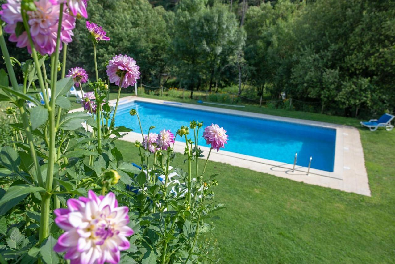 Quinta da Rabaçosa - Turismo Rural Castro Daire Extérieur photo