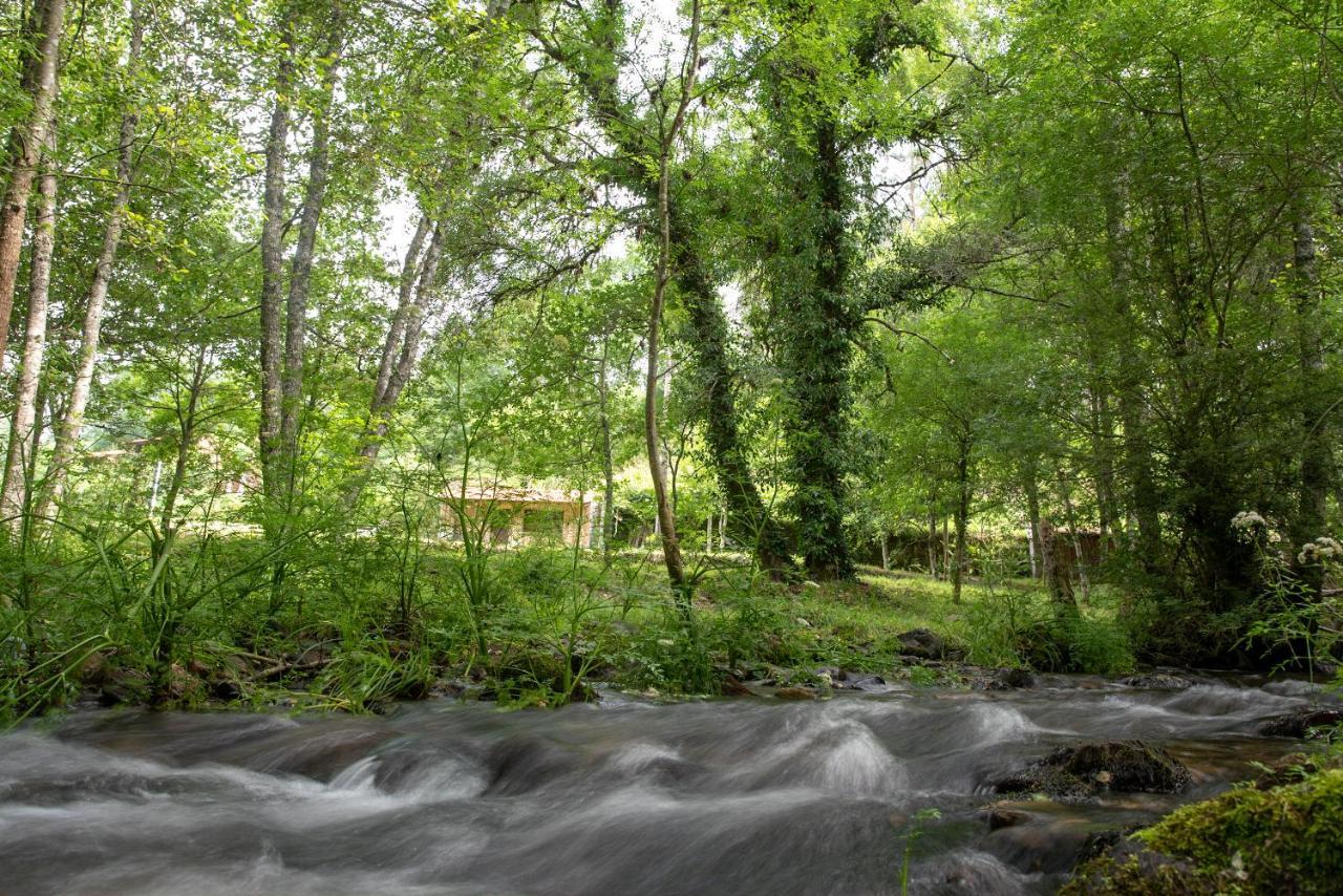 Quinta da Rabaçosa - Turismo Rural Castro Daire Extérieur photo
