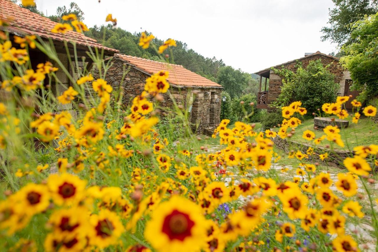 Quinta da Rabaçosa - Turismo Rural Castro Daire Extérieur photo