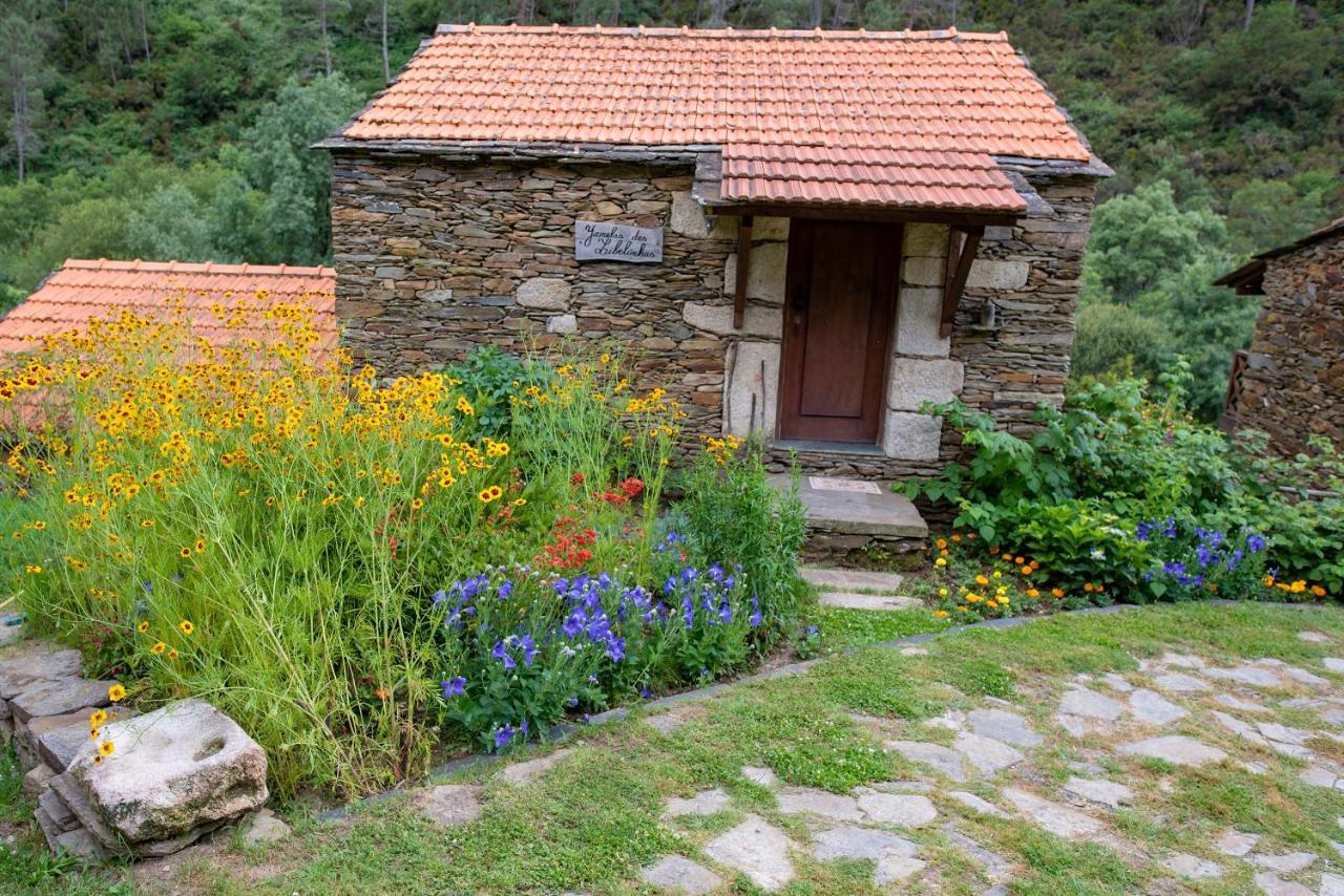 Quinta da Rabaçosa - Turismo Rural Castro Daire Extérieur photo